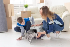 How to Help Your Cat Adjust to a New Home