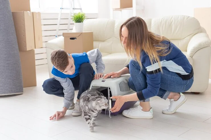 How to Help Your Cat Adjust to a New Home