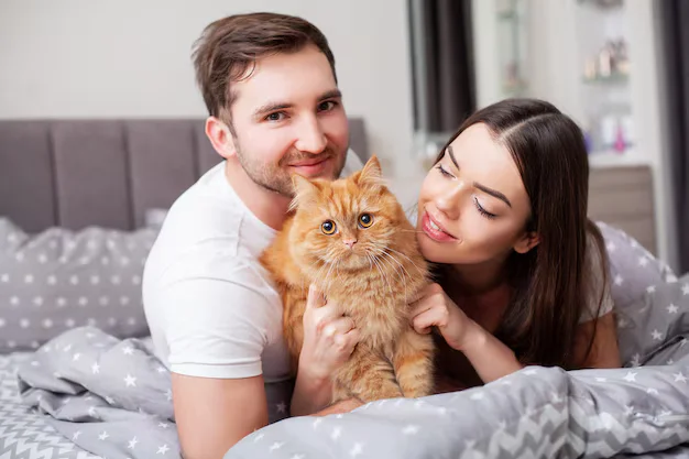 Organic Cat Treats Your Pet Will Love