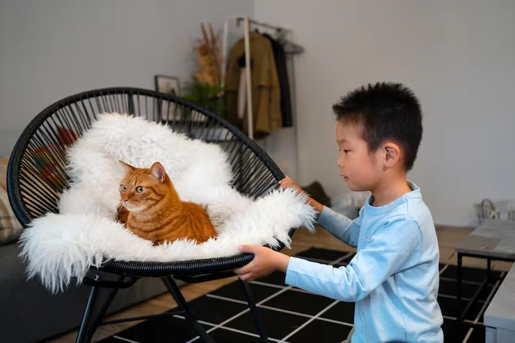 Soft Mesh Cat Harnesses for Comfortable Outings