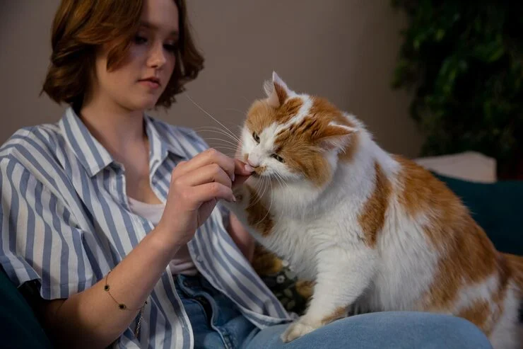 How To Trim Your Cat’s Nails at Home