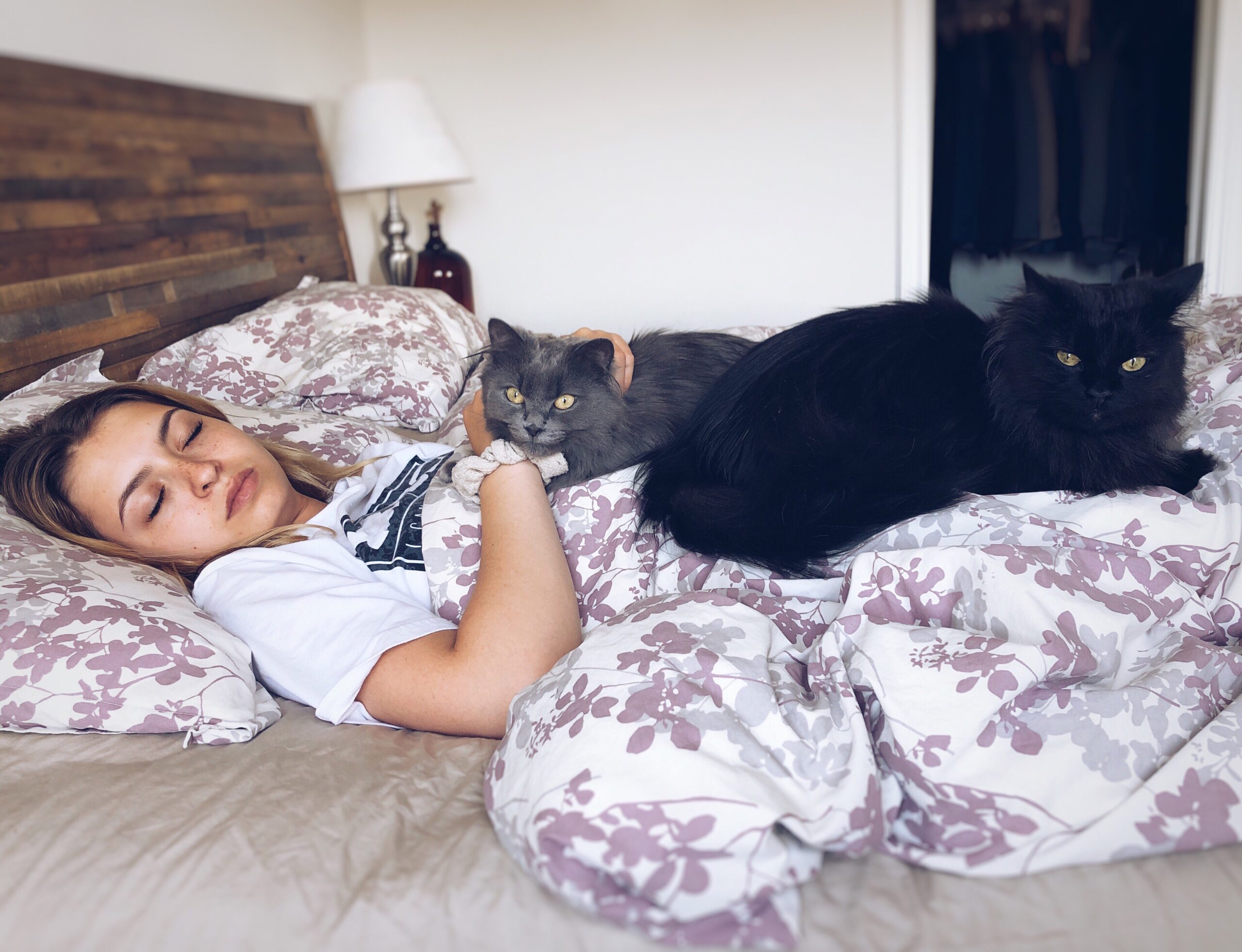 young teenage girl sleeping with two cats sitting 2025 03 12 21 43 04 utc scaled